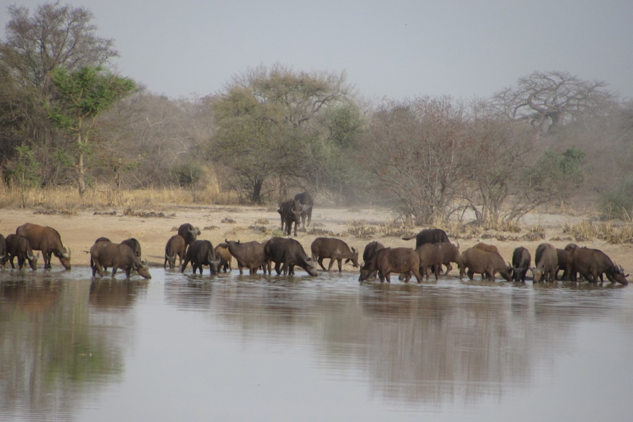 TOGO-BENIN - AFRICA SIGHTSEEINGS